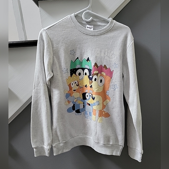 Bluey family gray sweatshirt men's small NWT Comfy Unisex - Picture 1 of 5